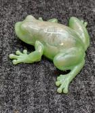  Beautiful unique frog green