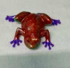  Beautiful Unique Frog Red 