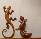 Gecko and  Leopard Gecko 