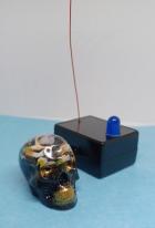 Ghost Detector with Skull