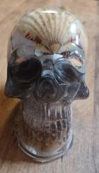  Decorative Resin Skull with Real Sea Shells
